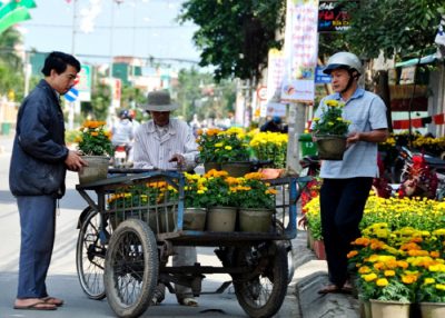 Vận chuyển cây cảnh nhỏ rất đơn giản